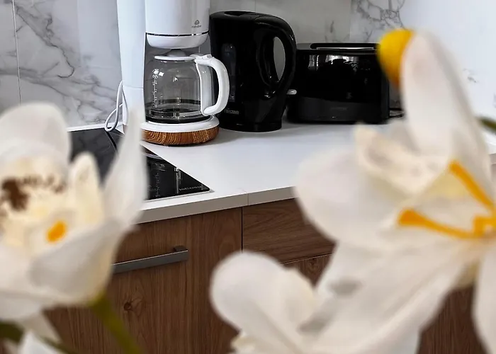 2 Pièces Appartement *